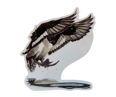 Greater Scaup 5x3 Sticker