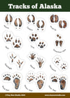 Tiny Nest Studio - Tracks of Alaska Sticker Sheet