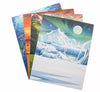 Studiostone Creative - NEW! Polar Bear Alabaster carving kit.