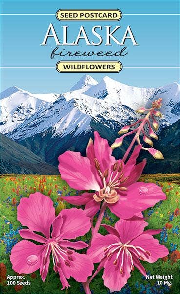 Created By Nature - Alaska Fireweed Wildflower Seed Packet