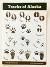 Tiny Nest Studio - Tracks of Alaska Sticker Sheet