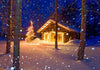 Greatland Graphics - Alaska Holiday Card Pack (10)