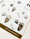 Tiny Nest Studio - Tracks of Alaska Sticker Sheet