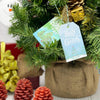 Wrapables.com - Wrapables Christmas Holiday Gift Tags/Kraft Paper Hang Tags: Holiday Cheer