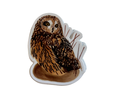 Short-Eared Owl (3x3) Sticker