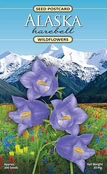 Created By Nature - Alaska Harebell Wildflower Seed Packet