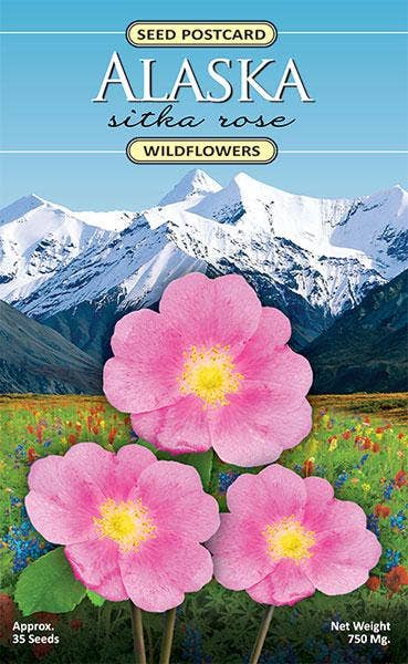 Created By Nature - Alaska Wild Rose Wildflower Seed Packet