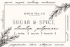 Birch Tea Co. - Sugar & Spice Potpourri Stovetop Kit