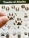 Tiny Nest Studio - Tracks of Alaska Sticker Sheet