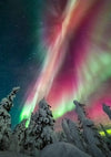 Greatland Graphics - Alaska Holiday Card Pack (10)