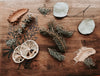 Birch Tea Co. - Refresh Potpourri Stovetop Kit